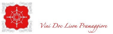 Zucchetto vini
